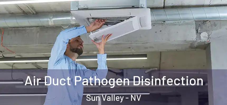  Air Duct Pathogen Disinfection Sun Valley - NV
