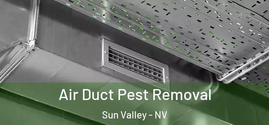  Air Duct Pest Removal Sun Valley - NV