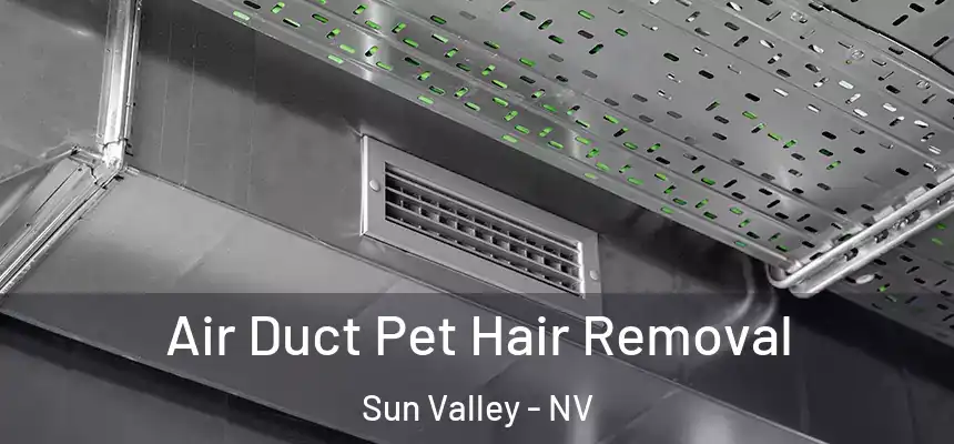 Air Duct Pet Hair Removal Sun Valley - NV