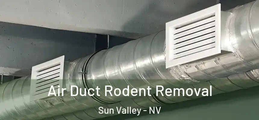  Air Duct Rodent Removal Sun Valley - NV