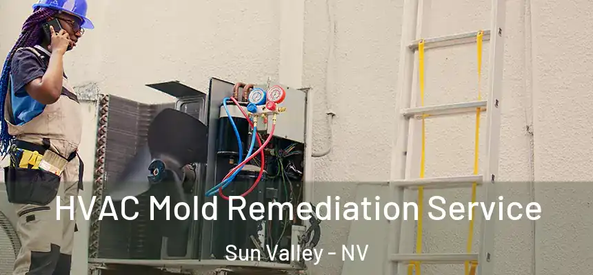  HVAC Mold Remediation Service Sun Valley - NV