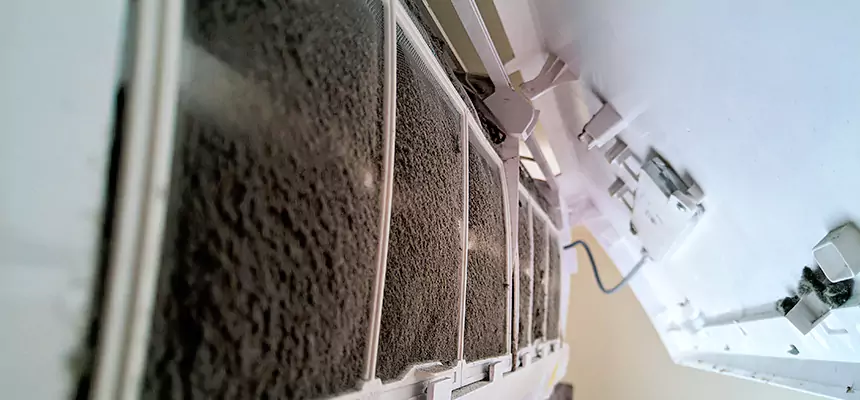 Preventive Air Duct Bacteria Removal in Sun Valley