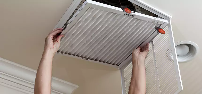 Preventive Cockroach-Proofing for Ducts in Sun Valley