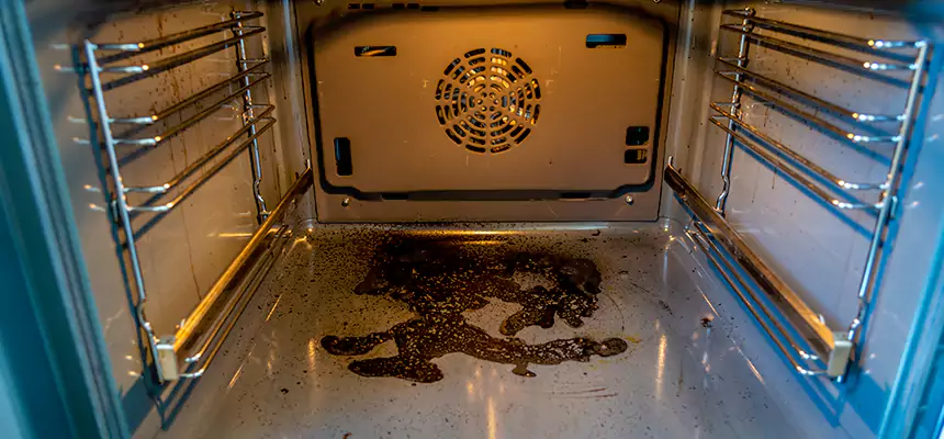 Our Dryer Vent Mold Cleaning Services in Sun Valley, NV