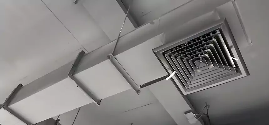 Our Rodent Droppings In Vents Services in Sun Valley, NV