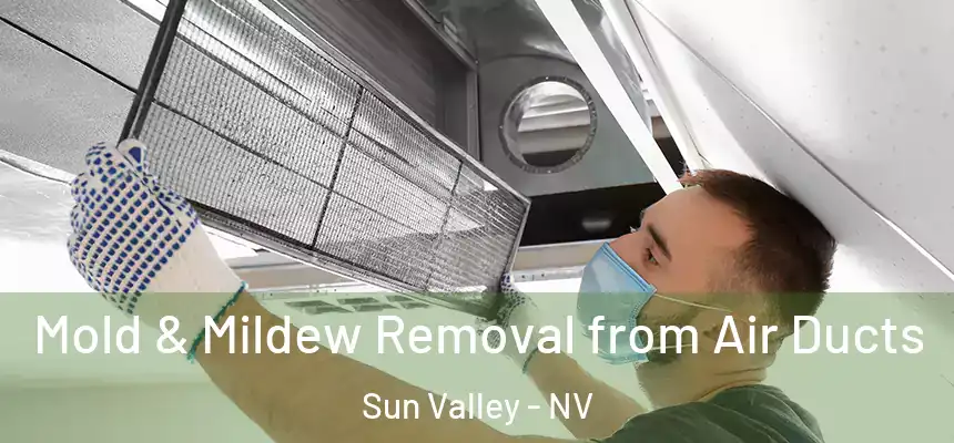 Mold & Mildew Removal from Air Ducts Sun Valley - NV
