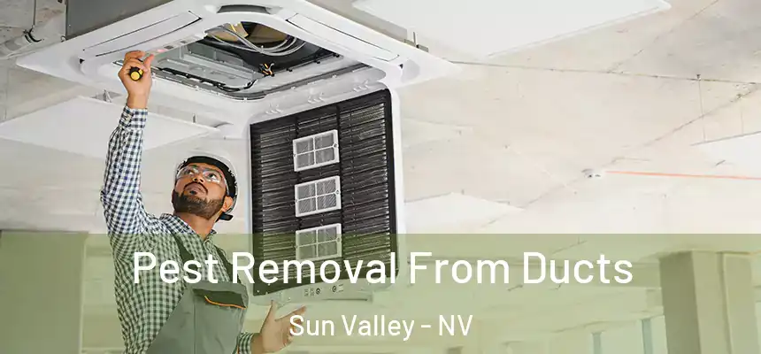  Pest Removal From Ducts Sun Valley - NV