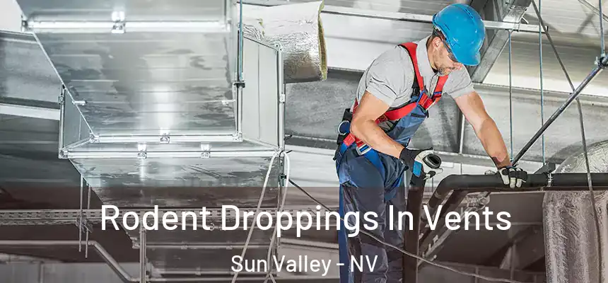  Rodent Droppings In Vents Sun Valley - NV