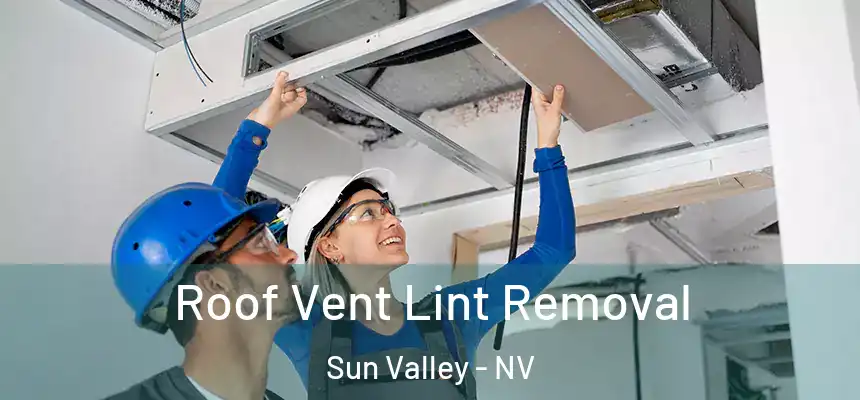  Roof Vent Lint Removal Sun Valley - NV