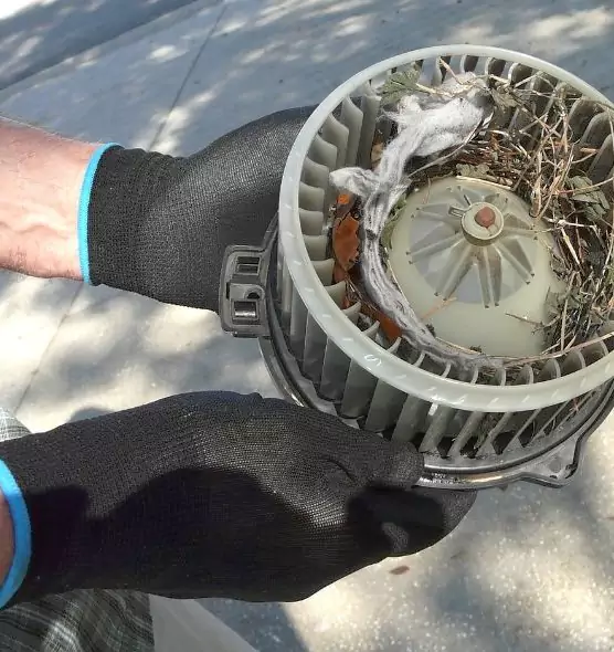 About Air Duct Rat Removal in Sun Valley, NV