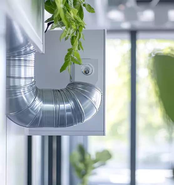 Professional Eco-Friendly Duct Cleaning Services in Sun Valley, NV