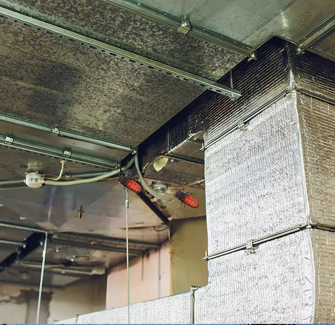 Why Homeowners & Businesses Trust Us in Sun Valley, NV?