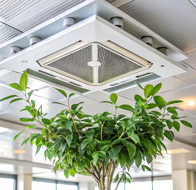 Why Homeowners & Businesses Trust Us in Sun Valley, NV?